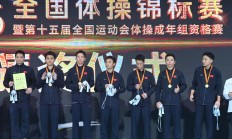 AGAPP下载:江苏队豪取体操全锦赛男团六连冠